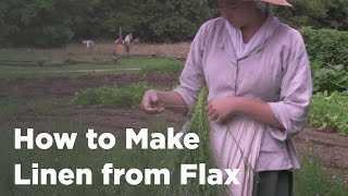 How to Make Linen from Flax [upl. by Namlas928]