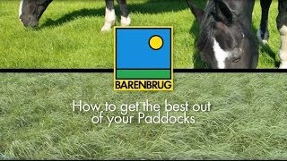 How to Maintain and Renovate Horse Grass Paddocks Advice on Equine Paddocks [upl. by Worthy81]