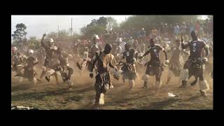 AMAZING ZULU WARRIOR DANCE  SOUTH AFRICA [upl. by Dumanian]