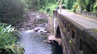 Jumping off Hakalau bridge [upl. by Fernandez239]