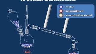 How Steam Distillation Works [upl. by Ahtanamas]