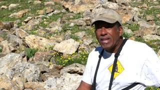 Alpine Animals Meet Colorados Marmots [upl. by Lesley570]