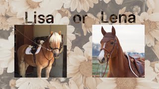 Lisa or Lena Horses [upl. by Fu]