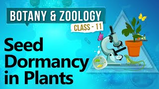 Seed Dormancy in Plants  Plant Growth and Development  Biology Class 11 [upl. by Eecak]