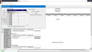 Creating a 12 Month Balance Sheet in Sage 50 US Edition [upl. by Lledal848]