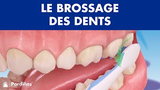 Comment brossage des dents correctement © [upl. by Maurie]