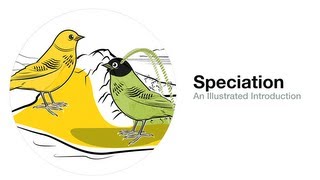 Speciation An Illustrated Introduction [upl. by Amsirac458]