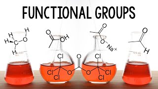 Intro to Functional Groups [upl. by Doloritas]