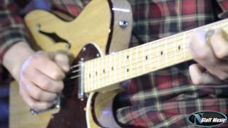 Fender American Deluxe Telecaster Thinline [upl. by Stearn166]