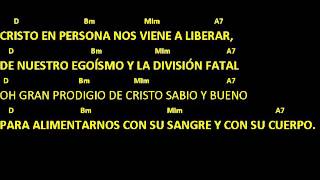 CANTOS PARA MISA  EUCARISTÍA MILAGRO DE AMOR  Pan Transformado  Letra y acordes  Comunión [upl. by Asher]