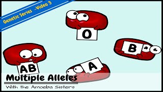 Multiple Alleles ABO Blood Types and Punnett Squares [upl. by Estevan]