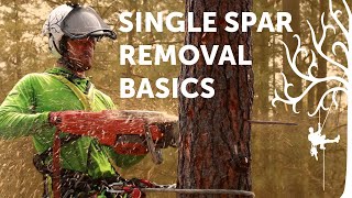 Spar removal basics  SRT tree climbing tutorial  Arborist Howto [upl. by Annenn]