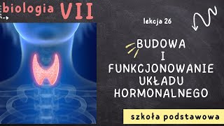 Biologia 7 Lekcja 26  Budowa i funkcjonowanie układu hormonalnego [upl. by Atiuqel]