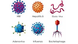 MICROBIOLOGIA E PARASITOLOGIA HUMANA [upl. by Eirovi]