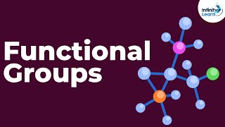 Introduction to Functional Groups  Dont Memorise [upl. by Anorahs412]