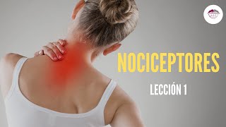 1 NOCICEPTORES FISIOLOGÍA DEL DOLOR [upl. by Sirois]