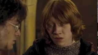 Harry and Ron Forgive and Forget  Harry Potter and the Goblet of Fire [upl. by Almeda]