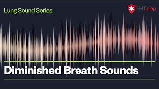 Diminished Breath Sounds  EMTprepcom [upl. by Inaffyt]