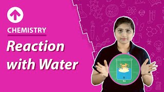 Reaction with Water  Chemistry [upl. by Ijok]