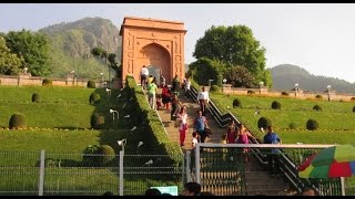 Chashme Shahi  Beautiful Mughal Garden at Srinagar India  Kashmir Tourism HD Video [upl. by Assirim]