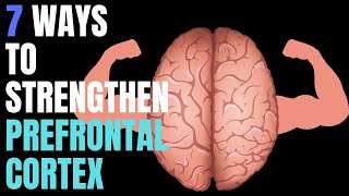 7 Ways You Can Strengthen Prefrontal Cortex [upl. by Gnoix683]