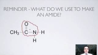 11 Ester and Amide Hydrolysis [upl. by Potter]