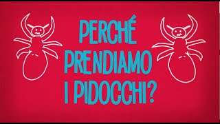 Perché prendiamo i pidocchi [upl. by Dragon]