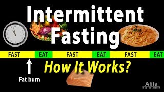 Intermittent Fasting  How it Works Animation [upl. by Iand963]