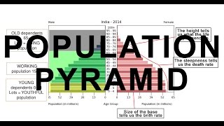 Population Pyramid of India  Growth Disitribution Diversity [upl. by Eisenstark]