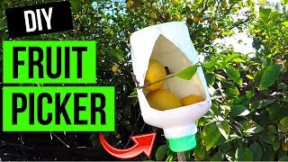 How To Make Fruit Picker Tool Easy Jonny DIY [upl. by Folsom]