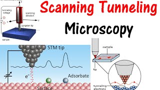 Scanning tunneling microscopy [upl. by Jaunita]