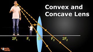 Convex and Concave Lenses [upl. by Yeaton]