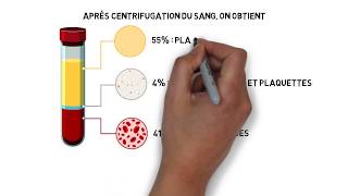 Milieu intérieur Part 02  Les compartiments liquidiens de lorganisme [upl. by Conlin]