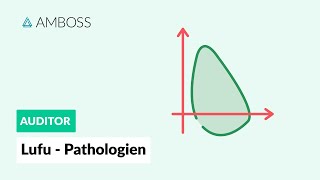 Lungenfunktion  Pathologien  AMBOSS Auditor [upl. by Anstus]