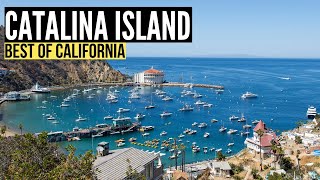 Things To Do in CATALINA ISLAND California Travel Guide amp Vlog [upl. by Josepha734]