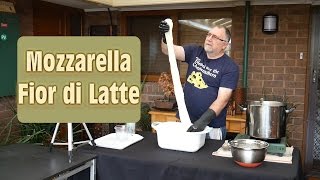 How to Make Real Mozzarella At Home [upl. by Namaj]