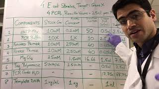 How To PCR Calculations [upl. by Suh467]