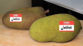 What is a Jackfruit [upl. by Pernick]