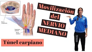 Movilización del Nervio Mediano [upl. by Elauqsap390]