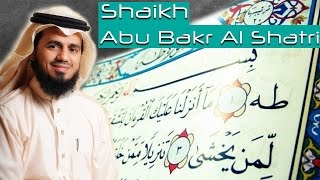 Beautiful and Melodious Recitation of Surah TaHa  Shaikh Abu Bakr Al Shatri [upl. by Lahcim]