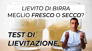 TEST DI LIEVITAZIONE Lievito Fresco VS Lievito Secco [upl. by Annahavas304]