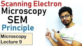 Scanning electron microscope principle working SEM [upl. by Ramhaj678]