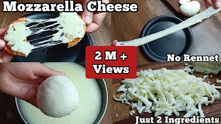 How to Make Mozzarella Cheese Just 2 Ingredients RecipeHomemade Pizza Cheese [upl. by Reviel704]