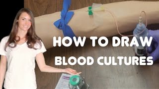 How to Collect Blood Cultures [upl. by Philbo]