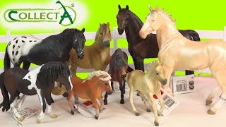 CollectA Horses Mare Foal Pony Stallion Horse Unboxing Review Video HoneyheartsC [upl. by Anaahs]