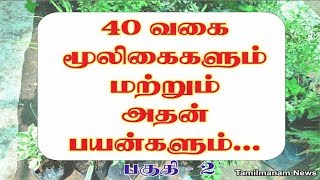 Herbs and their uses in tamil  40 herbal plants and their uses Part 2 [upl. by Enyaz]