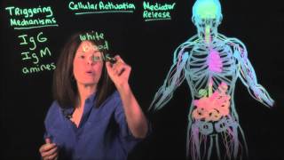 Best Food Sensitivity Test IgG vs MRT [upl. by Cran]