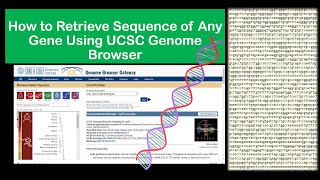 How to Retrieve Sequence of Any Gene of Any Species Using UCSC Genome Browser [upl. by Bonner642]