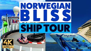 Norwegian Bliss Cruise Ship Tour [upl. by Jammal156]