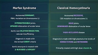 Marfan Syndrome vs Homocystinuria [upl. by Gronseth]